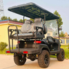 C Style Two Seats Front And 2 Seats Back Off Road Mini Utility Wholesale Electric Golf Cart (WINNER-GC-C 2S+2S)