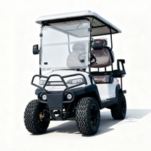 C Style Two Seats Front And 2 Seats Back Off Road Mini Utility Wholesale Electric Golf Cart (WINNER-GC-C 2S+2S)