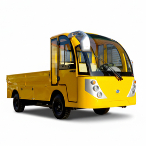 Electric 3 Tons Mini Truck / Lorry Wholesale Customizable (WINNER-TT 3T) 