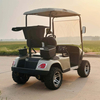 A Style Two Seats Off Road Mini Utility Wholesale Electric Golf Cart (WINNER-GC-A 2S)