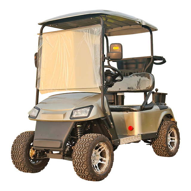 A Style Two Seats Off Road Mini Utility Wholesale Electric Golf Cart (WINNER-GC-A 2S)