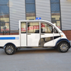 Electric 5 Passenger Convertible Patrol Car Transport Truck Wholesale (WINNER-PC-TT 5S) 