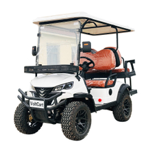 D Style Two Seats Front And 2 Seats Back Off Road Mini Utility Wholesale Electric Golf Cart (WINNER-GC-D 2S+2S)