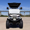 GL Style Four Seats Front Off Road Mini Utility Wholesale Electric Golf Cart (WINNER-GC-GL 4S)