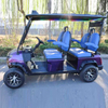 KF1 Style Four Seats Front Off Road Mini Utility Wholesale Electric Golf Cart (WINNER-GC-KF1 4S)