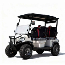 GL Style Four Seats Front Off Road Mini Utility Wholesale Electric Golf Cart (WINNER-GC-GL 4S)