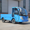 Electric 3 Tons Mini Truck / Lorry Wholesale Customizable (WINNER-TT 3T) 