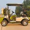 A Style Two Seats Off Road Mini Utility Wholesale Electric Golf Cart (WINNER-GC-A 2S)